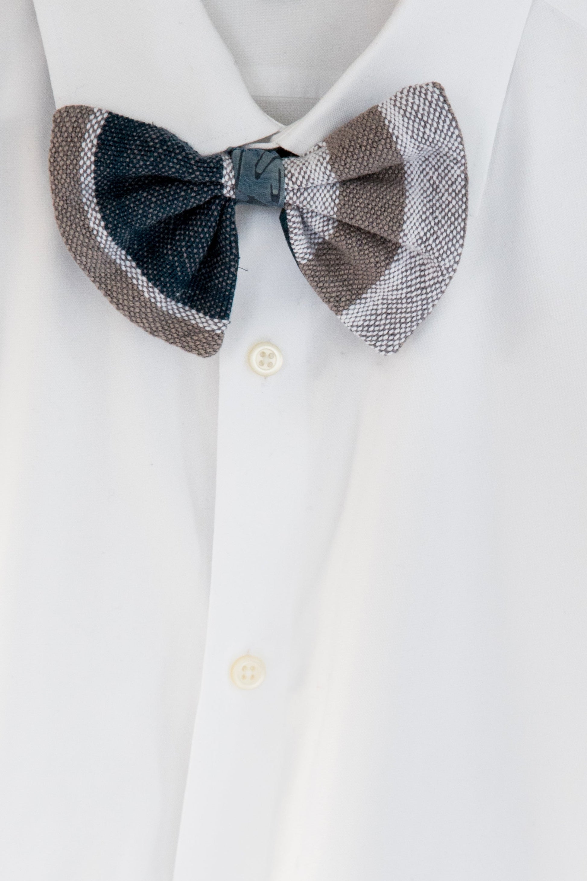 Bow Ties are Back!
